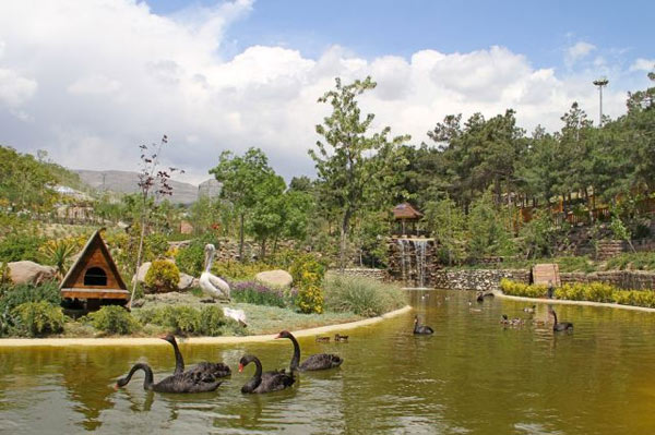 باغات تهران پارک‌ عمومی می‌شوند